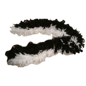 Designers On A Dime Women Feather Boa (SKU 000099)
